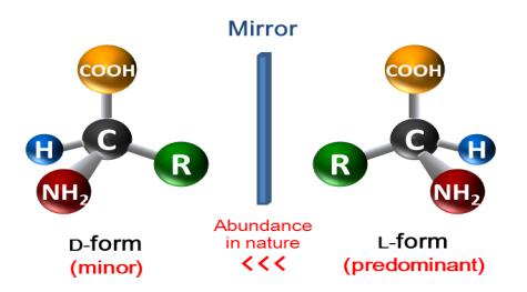 氨基酸不具备的化学反应,氨基酸是一切生命之源