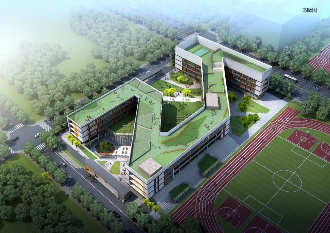 江北即将开建的中学,江北新区新建大学