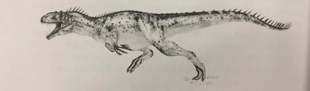 发现一亿年前的恐龙脚印,观往知来论据