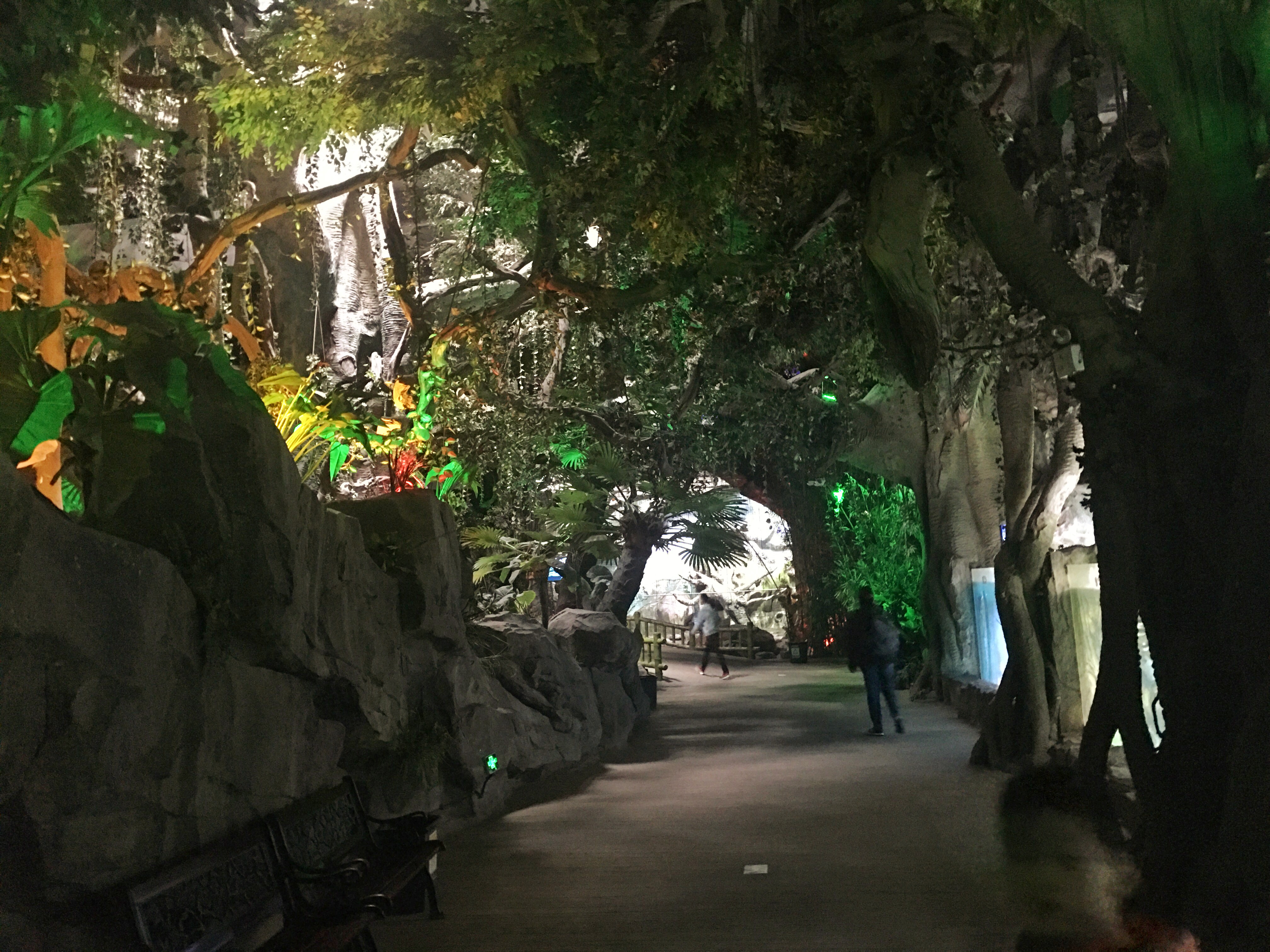 带娃玩的海洋极地世界,欢乐周末带娃时光