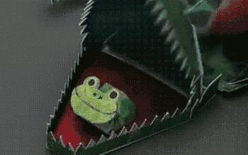 日本小孩玩的玩具,跟儿童一起玩的智力玩具