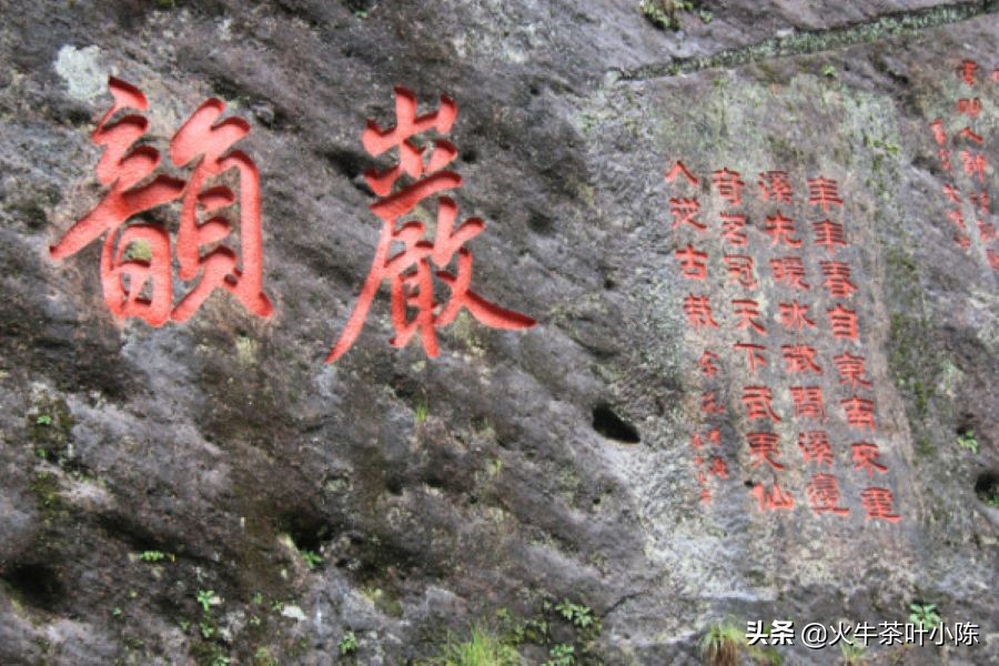 大红袍茶叶怎么泡才是正确的,大红袍茶叶介绍及冲泡方法图片