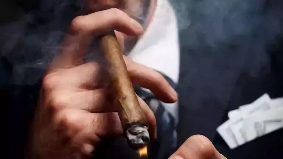 12.28 . 一只中式雪茄的生活意见