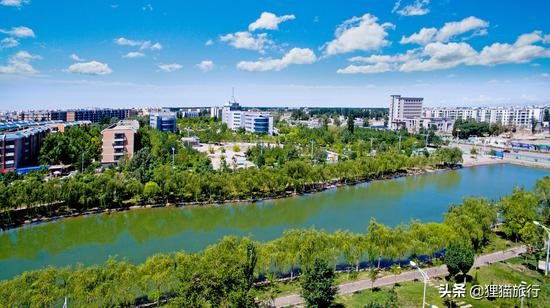 沙雅胡杨林自然保护区,新疆沙雅胡杨林介绍