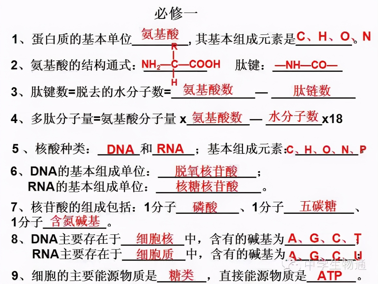 高中生物复习资料必修一,高中生物复习资料大全2019