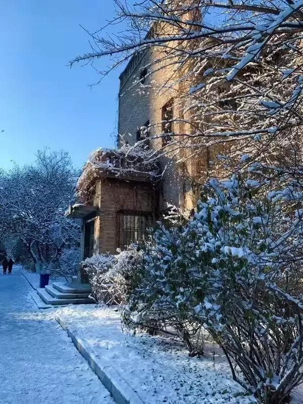 辽宁大学和鲁迅美术学院,辽宁省鲁迅美术学院是985吗