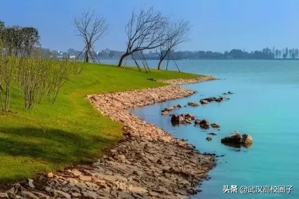 武汉东湖游玩攻略骑行路线,来武汉东湖绿道打卡玩法全攻略