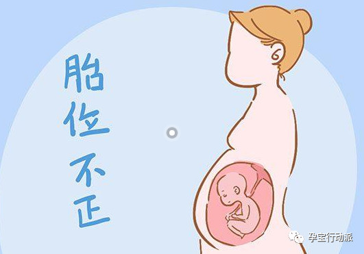 孕期周刊 第三十周