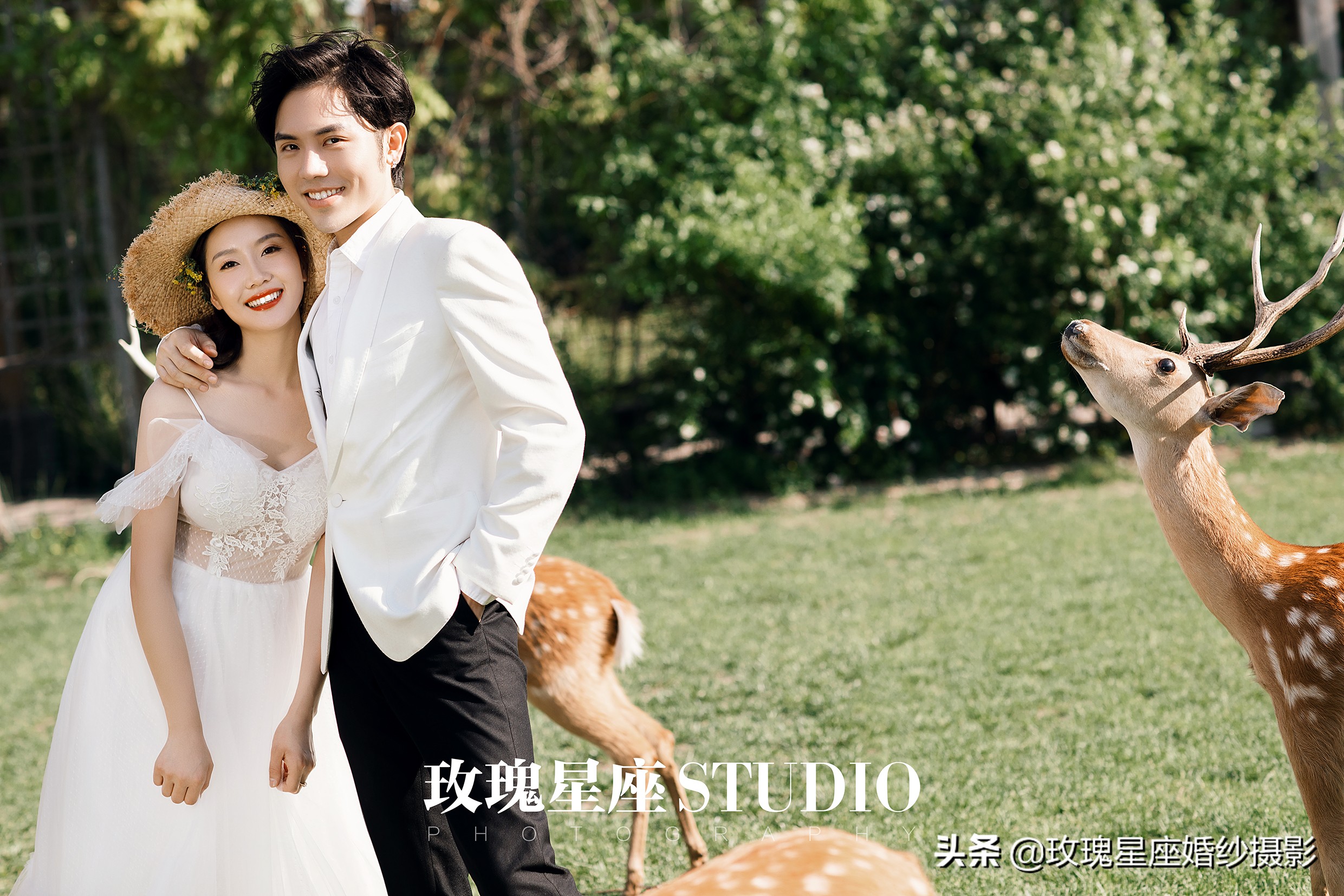 婚纱照必拍的9种风格,韩式小清新可爱俏皮室内婚纱照