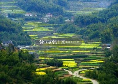 胥口高联梯田风景,高联村梯田