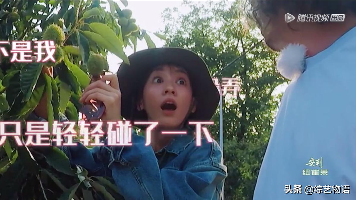 陈意涵晚上8点休息,陈意涵幸福三重奏老公对她有多好