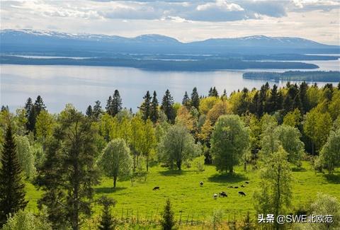 新风系统国内,新风系统家庭