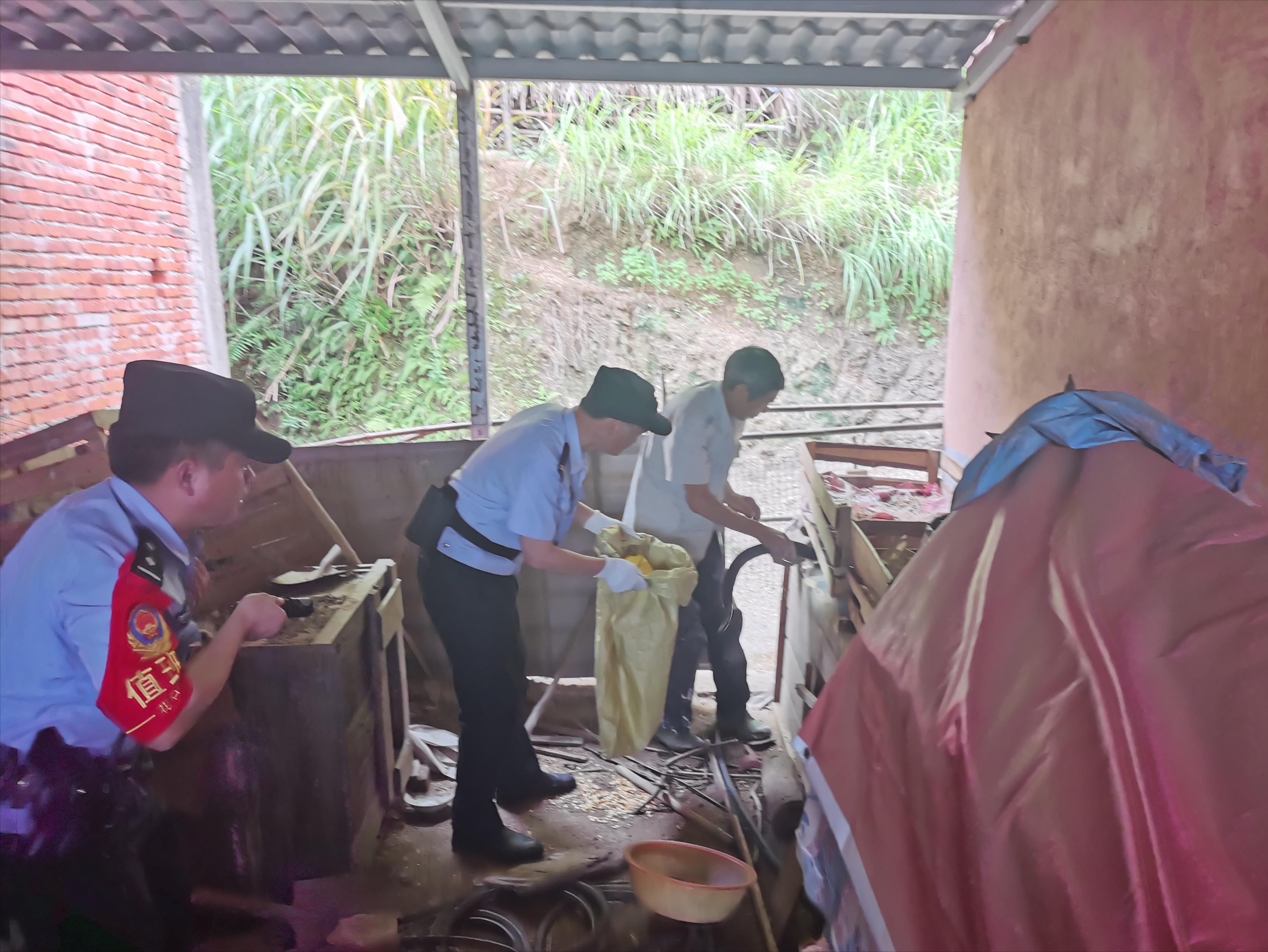 王锦蛇捕猎,王锦蛇捕食画面