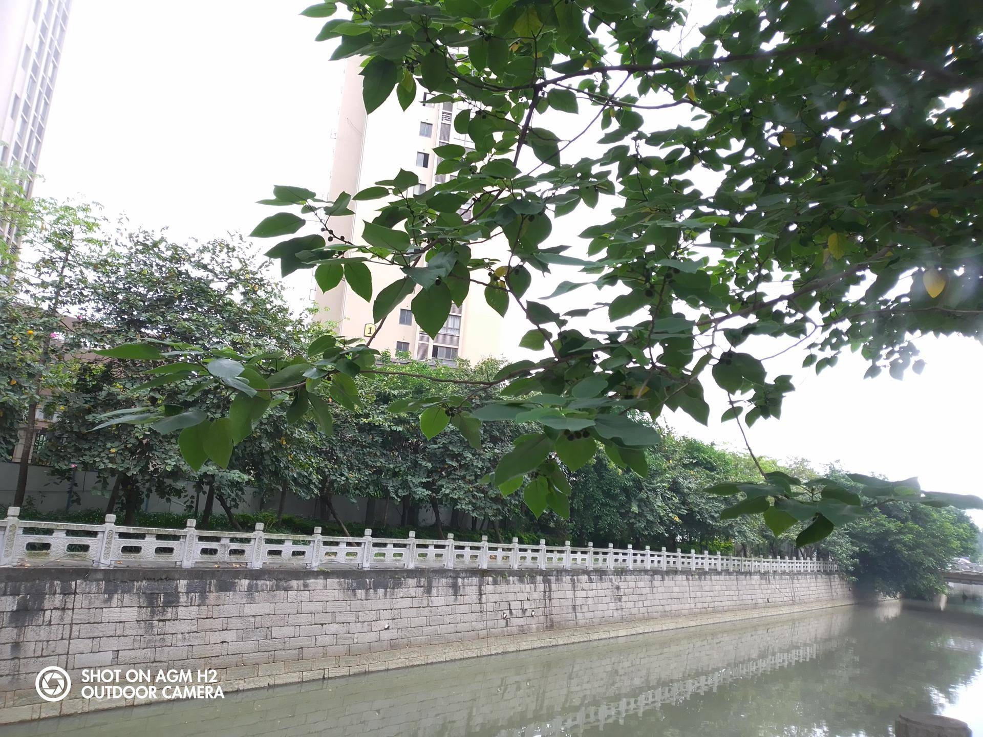 agmm6老人机测评,agm老人机值得买吗