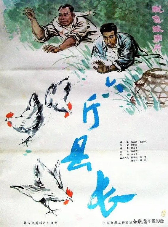 八十年代国产电影大全,国产八十年代电影大全集