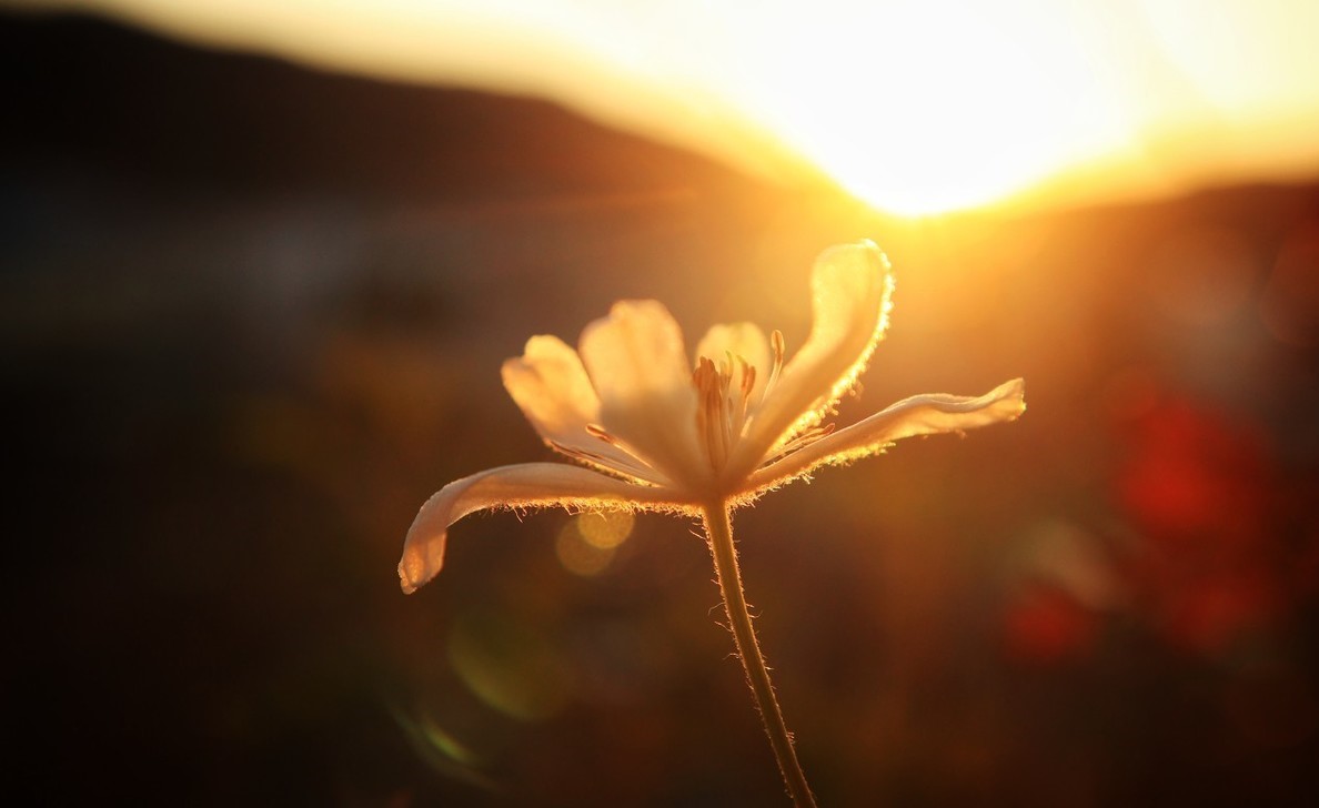 没有货源怎样做拼多多赚钱,做拼多多店铺和打工哪个赚钱