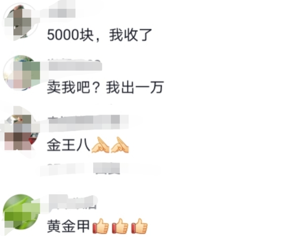 罕见!南昌钓鱼人钓上“黄金鳖”,有人想出高价购买