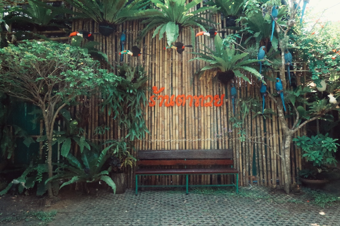 普吉岛夜晚攻略,普吉岛值得去的地方