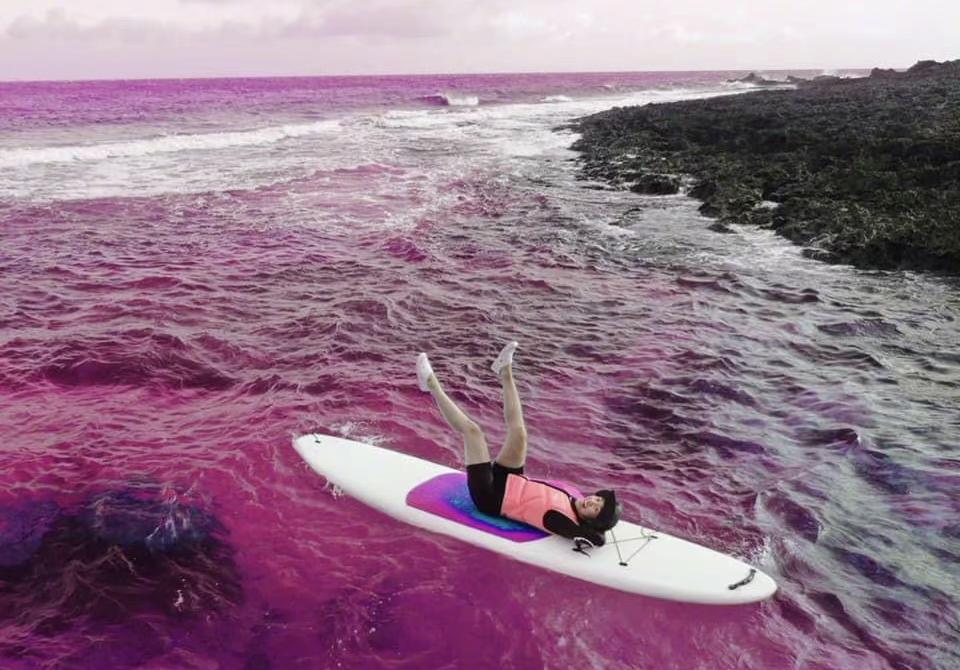 鬼鬼何炅明星大侦探冷笑话,明星大侦探刘昊然鬼鬼何炅