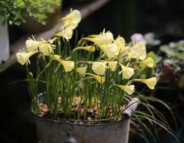 2020年花店营销日历，34个赚钱的好日子「建议收藏」