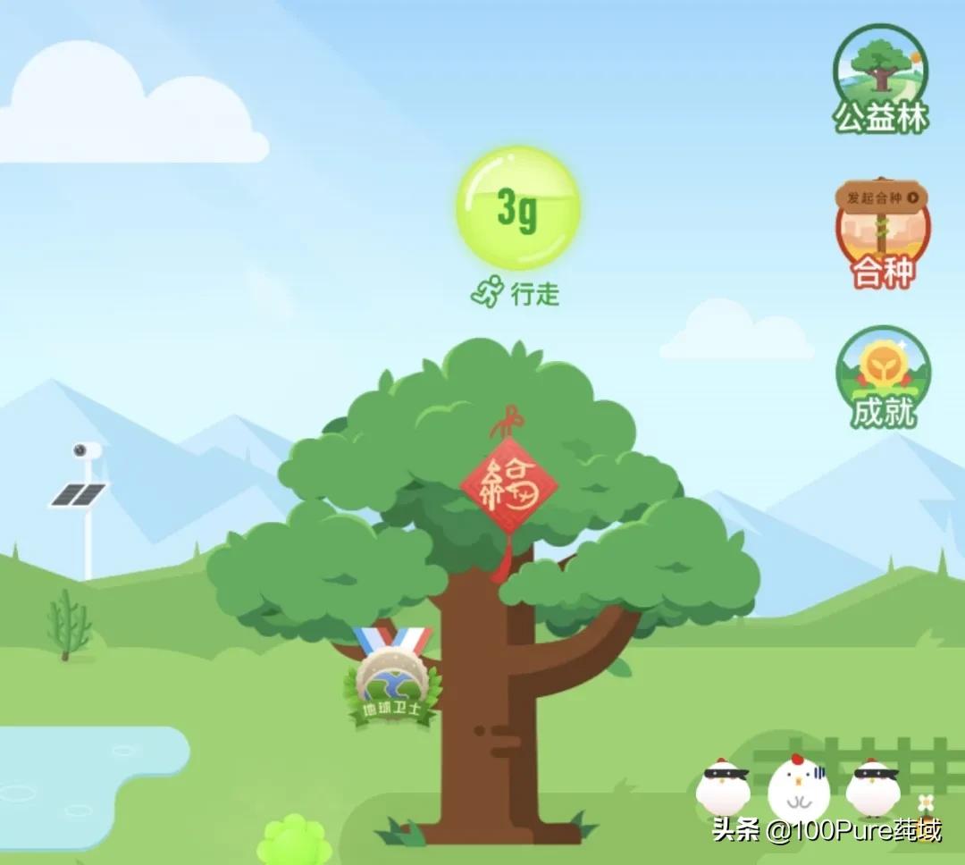 支付宝里种的树是真实存在的吗,支付宝种树真的给你种下了树吗