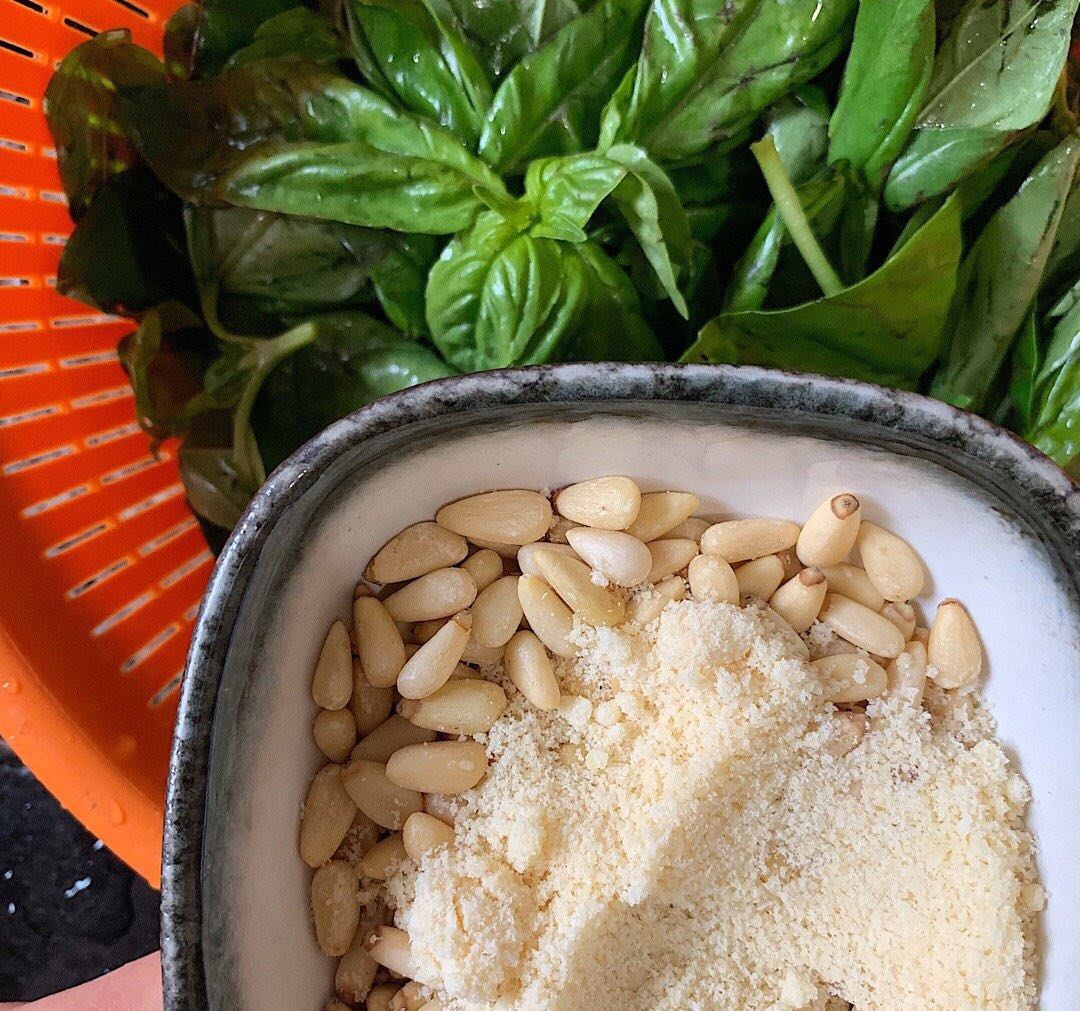 十种最香的香草调料,各种香草调料