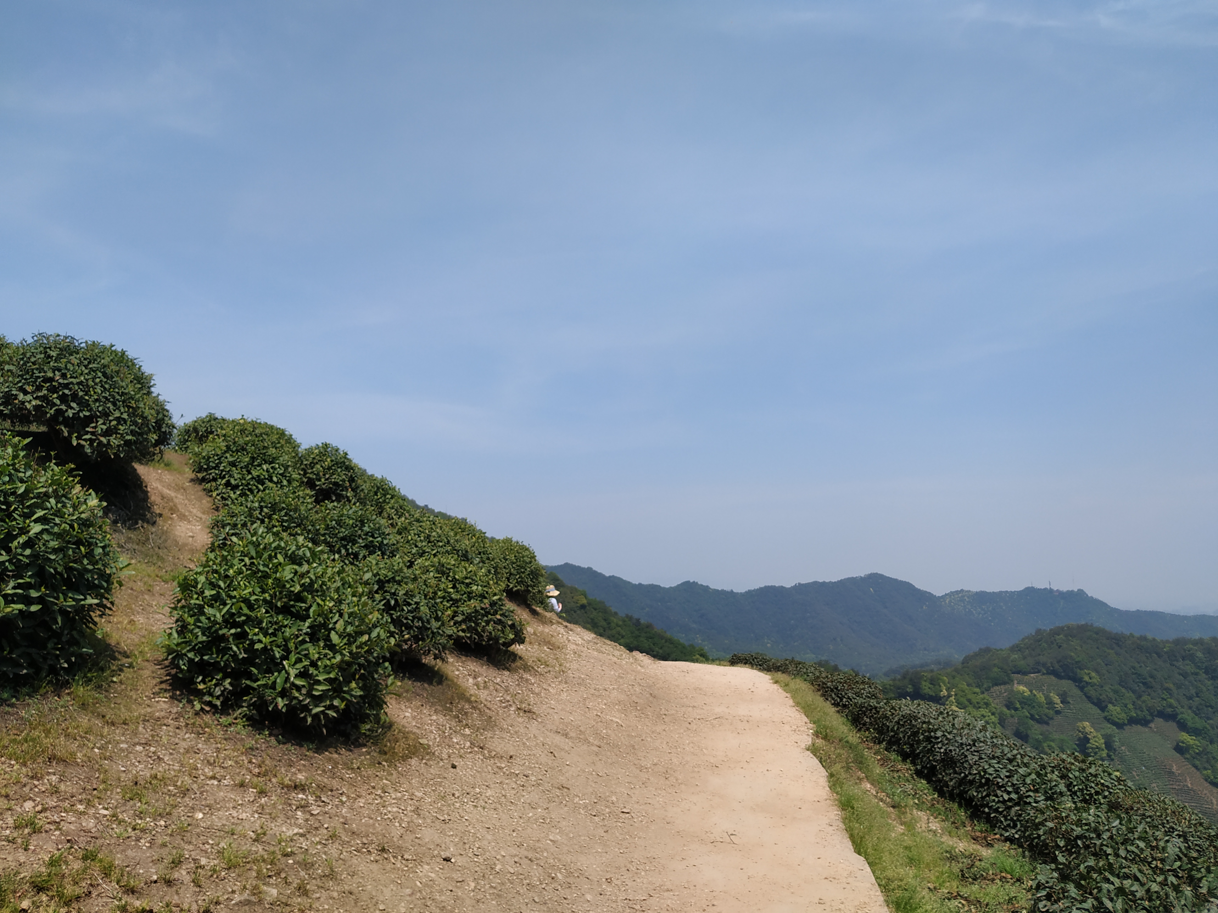 一个旅居者眼中的杭州：似水流年捕捉那四时光阴，美是记得