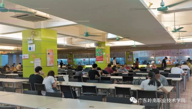 广东岭南职业技术学院2024分数,广东岭南职业技术学院志愿填报