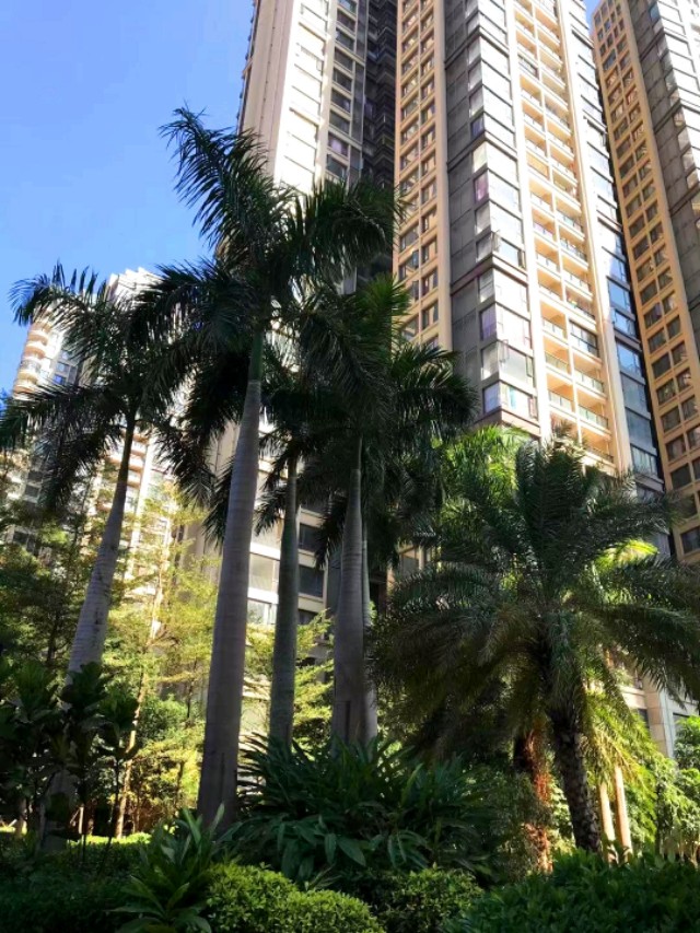 传说中的金沙,金沙世纪城最好小区