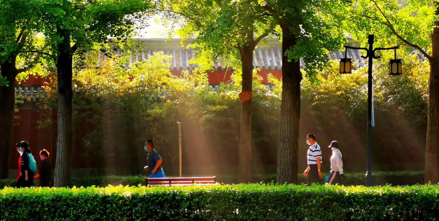 成功必备的意志力,曾国藩说自己的成功靠运气