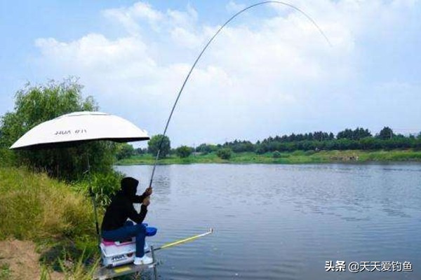 野钓大鱼的技巧,野钓大鱼必学技巧