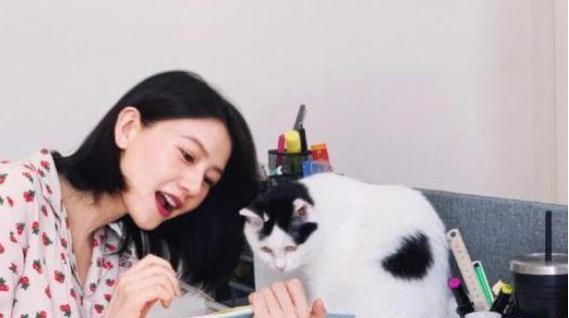 高圆圆赵丽颖谁大,赵丽颖杨幂刘诗诗高圆圆