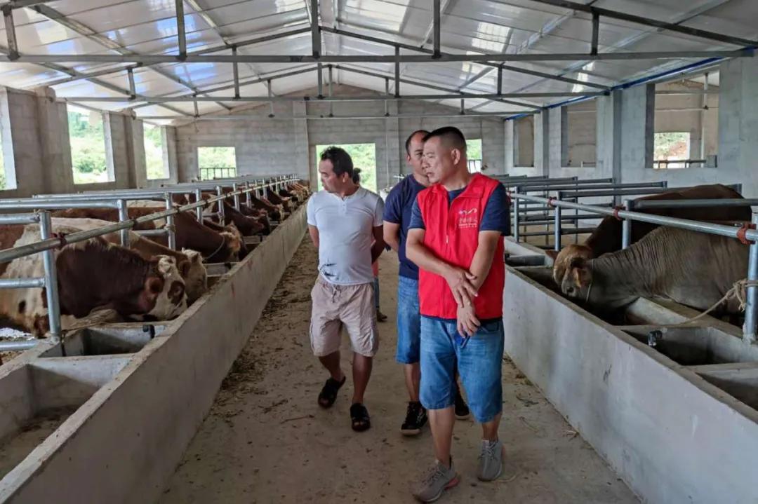 贵阳市民宗委董西｜舍小家顾大家，在脱贫攻坚中守初心担使命