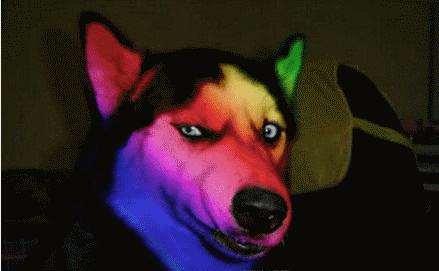 00后存款是90后2倍、10亿人没坐过飞机...一文读懂中国未来商机