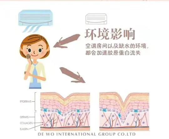 补充胶原蛋白是智商税吗,吃肉皮能补充胶原蛋白吗