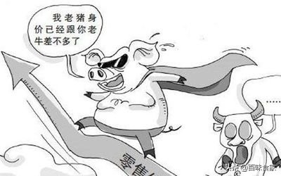 酸菜豆腐炖鱼汤的做法大全家常,豆腐炖鱼怎么做好吃又简单视频