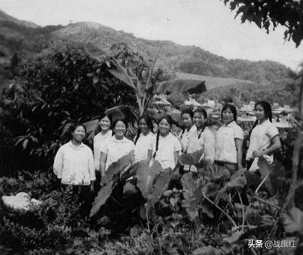 农场大学生群体腹泻，同学老何一天如厕二三十回，人称机枪连长