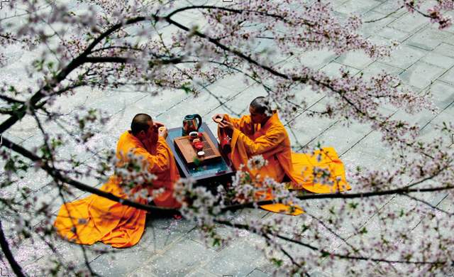 谷雨吃茶去图片,谷雨喝茶指南
