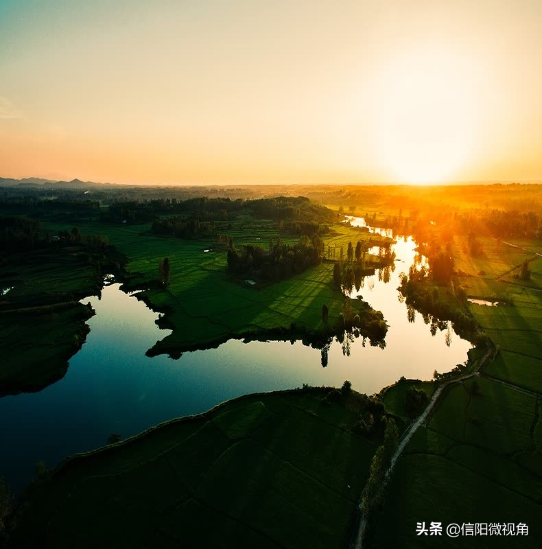 正宗信阳土特产咸鸭蛋,咸鸭蛋信阳