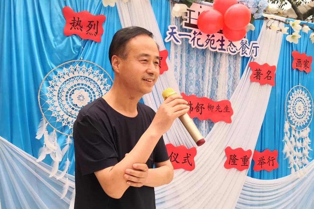 韩舒柳画家,画家韩舒柳