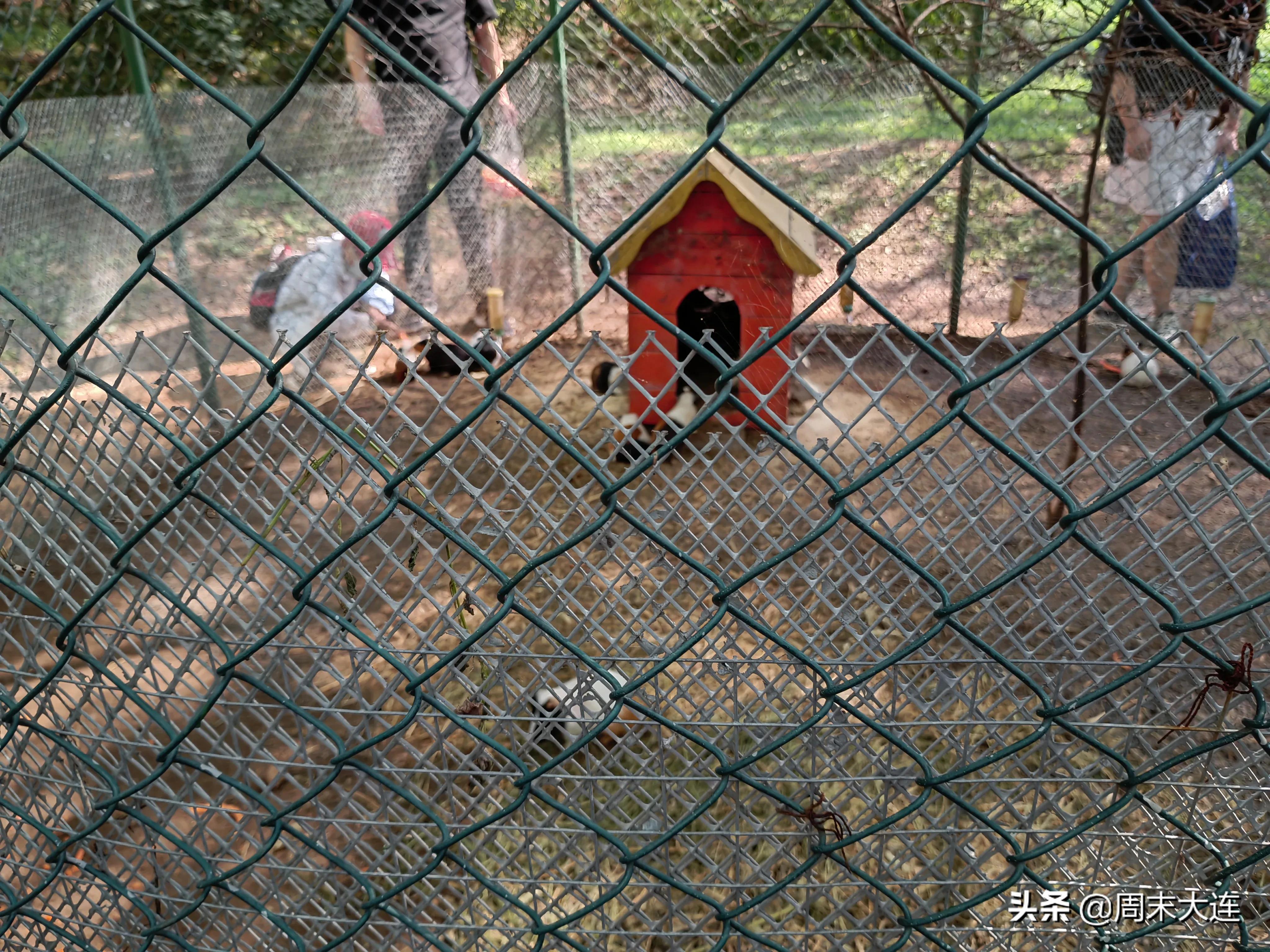 铭湖牧场是哪,铭湖牧场简介