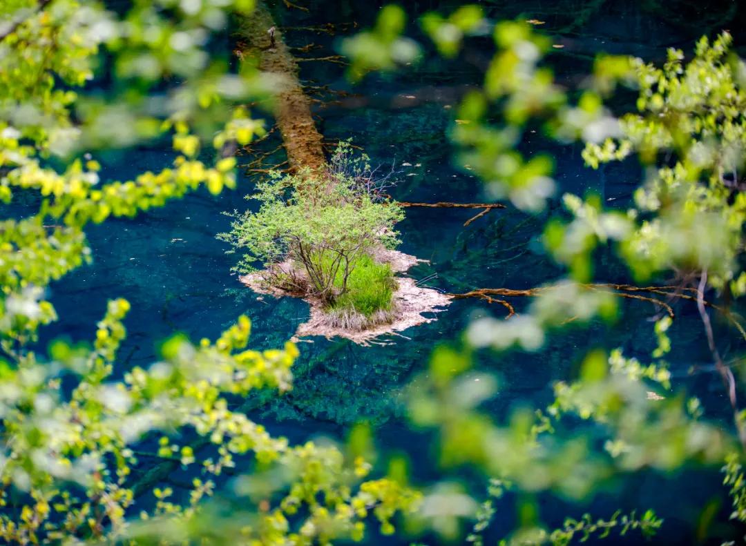 九寨沟路上招手,前方到站宁强