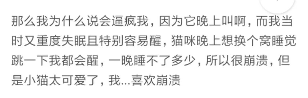 那些年舍友养过的奇葩宠物,你们身边的人都养什么奇怪的宠物