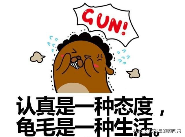 处女座的性格全面解析,处女座女生全面分析运势