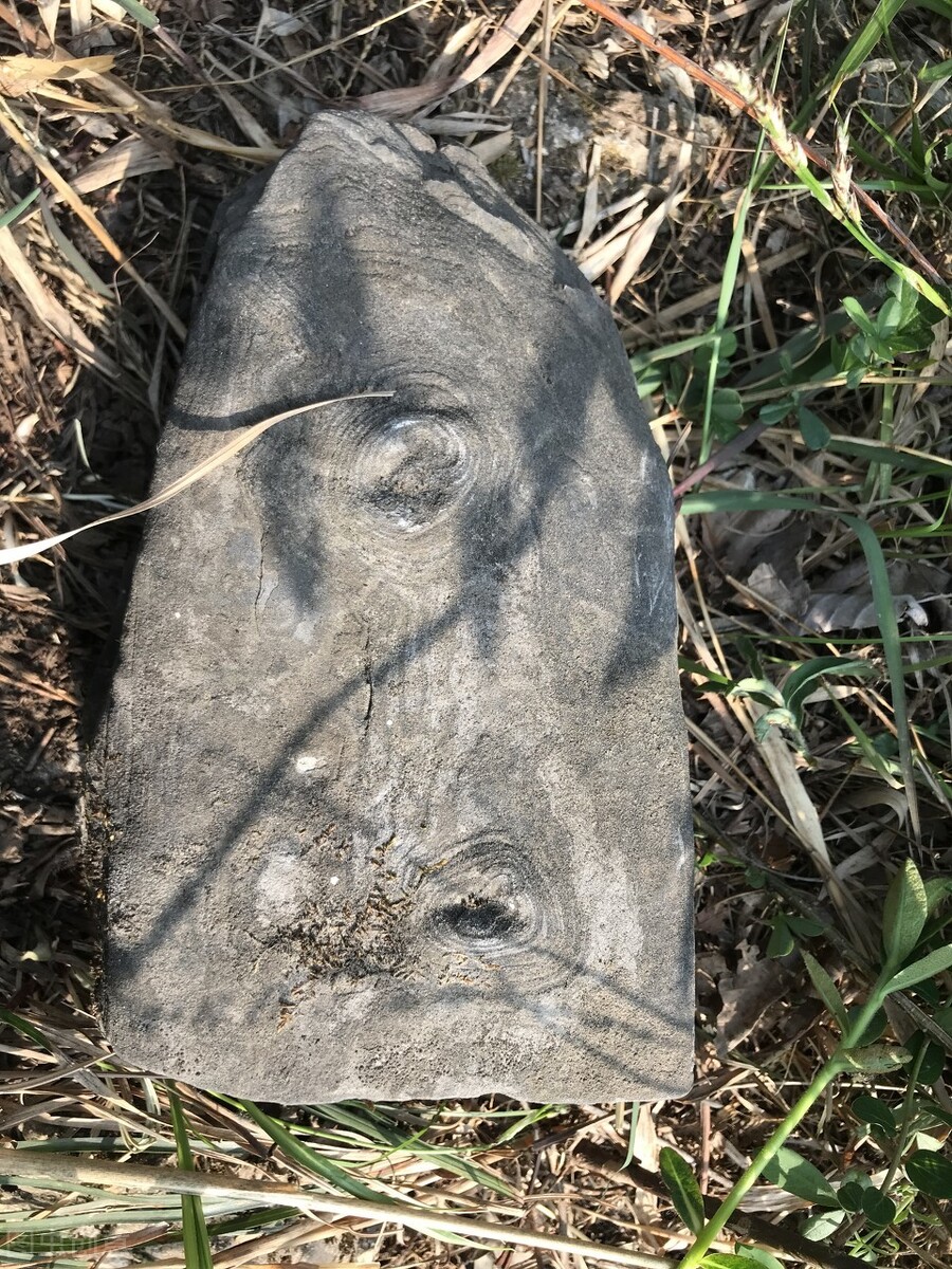 狼孩4：大荒沟中有座“狼母碑”，铭记着人间崇奉的道德恩义