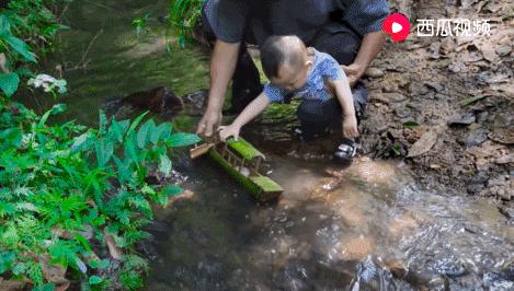 西瓜视频独家签约创作人阿木爷爷，被央视新闻联播点赞了