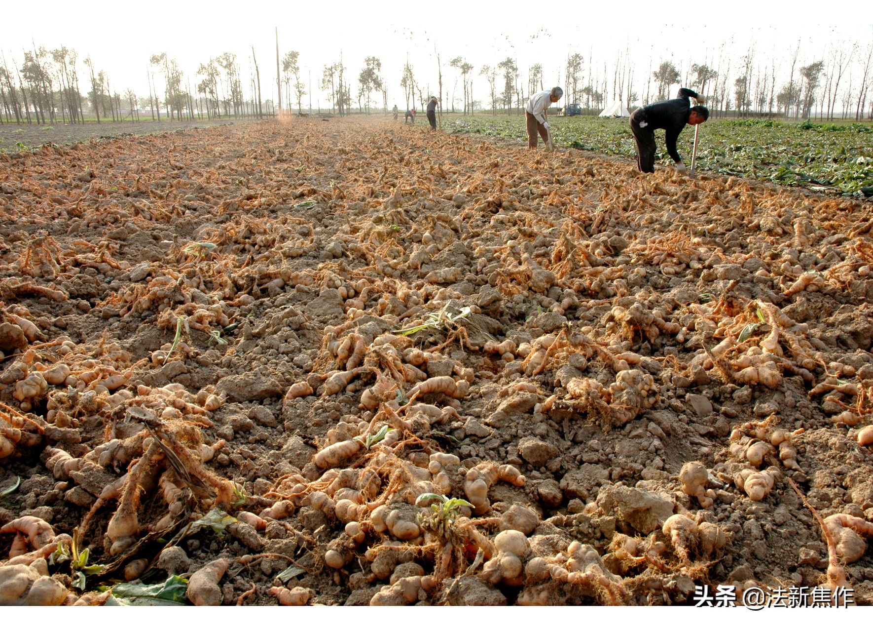 建党百年感人诗歌,献礼建党百年诗