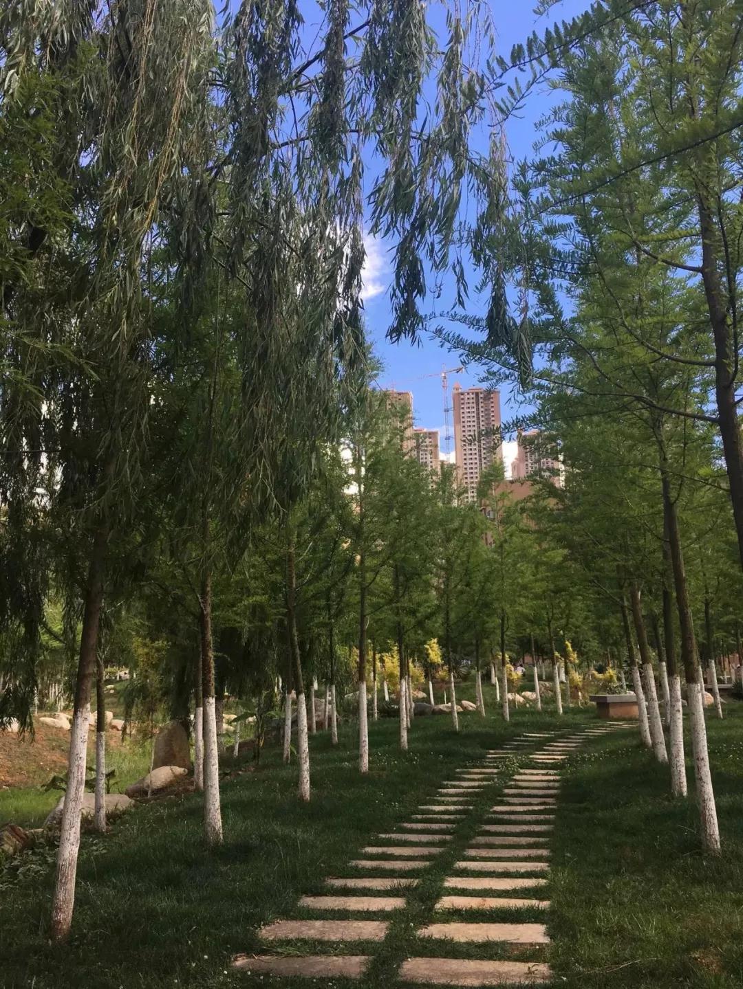 昆明最火网红打卡景点免费的,昆明最近的值得打卡的景点