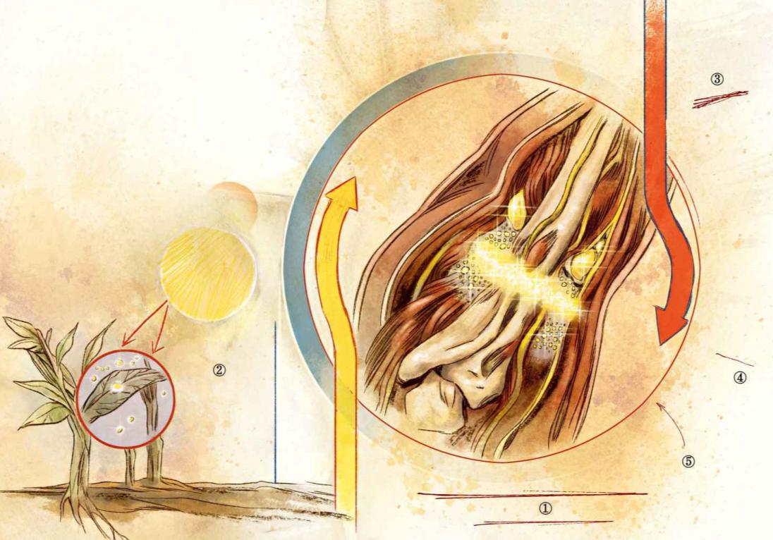蝙蝠侠揭秘系列,蝙蝠侠人体实验