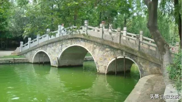 合肥各个区pk郑州,合肥是全国最漂亮的城市吗